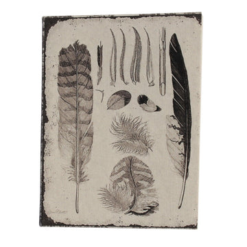 Feathers Illustration Pocket Diary Set Of 2 - DeKulture DKW-1082-PD