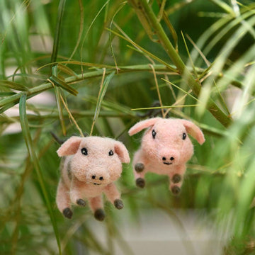 Lucky Pig Ornament Set Of 2